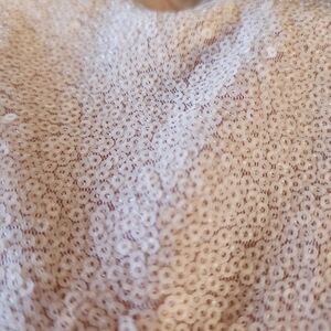 Sparkling Sequin Fabric